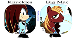 Size: 1280x640 | Tagged: safe, artist:blueaurastreakarts, derpibooru import, big macintosh, earth pony, pony, crossover, knuckles the echidna, male, sonic the hedgehog (series), stallion