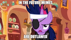 Size: 888x499 | Tagged: safe, edit, edited screencap, screencap, twilight sparkle, it's about time, future twilight, image macro, in the future, meme, solo