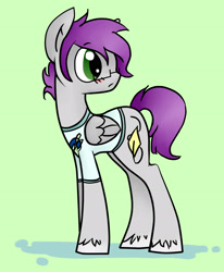 Size: 2450x2975 | Tagged: safe, artist:kyanchan, derpibooru import, oc, oc only, pegasus, pony, clothes, glasses, shirt, solo