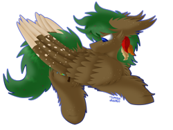 Size: 1024x768 | Tagged: safe, artist:vanillaswirl6, oc, oc only, oc:sorrel swoop, pegasus, pony, blue eyes, cheek fluff, chest fluff, colored pupils, colored wings, colored wingtips, commission, ear fluff, feather, fluffy, freckles, looking down, lying down, male, mouth hold, outline, preening, prone, signature, simple background, solo, stallion, transparent background, wing fluff