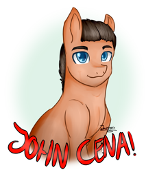 Size: 1024x1118 | Tagged: safe, artist:jazzerix, derpibooru import, crossover, john cena, ponified, solo, wrestling, wwe