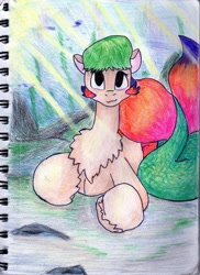 Size: 762x1048 | Tagged: safe, artist:andandampersand, derpibooru import, oc, oc only, oc:seasy, merpony, colored, solo, underwater