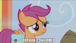 Size: 1366x768 | Tagged: safe, edit, edited screencap, screencap, scootaloo, pony, parental glideance, image macro, meme, orphan, solo