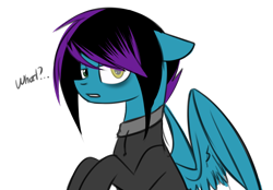 Size: 1024x714 | Tagged: safe, artist:despotshy, derpibooru import, oc, oc only, oc:despy, pegasus, pony, clothes, hoodie, simple background, solo, transparent background