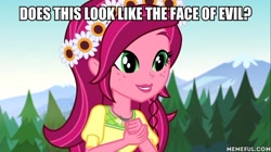 Size: 600x337 | Tagged: safe, edit, edited screencap, screencap, gloriosa daisy, equestria girls, legend of everfree, blatant lies, cute, daaaaaaaaaaaw, daisybetes, face of mercy, floral head wreath, flower, image macro, meme, no, solo