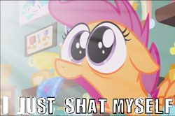 Size: 1084x720 | Tagged: safe, edit, edited screencap, screencap, scootaloo, pony, parental glideance, big eyes, faic, meme, scootaloo ultimate faic, solo, surprised, vulgar