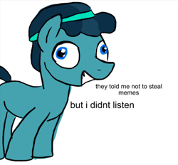 Size: 478x443 | Tagged: safe, derpibooru import, thorax, changeling, the times they are a changeling, crystal hoof, crystal hoof didn't listen, disguise, disguised changeling, exploitable meme, i didn't listen, image macro, meme