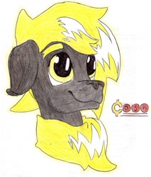 Size: 909x1067 | Tagged: safe, artist:andandampersand, derpibooru import, oc, oc only, oc:cash, dog pony, hybrid, bust, colored, fluffy, portrait, solo, traditional art