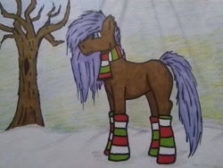 Size: 1280x960 | Tagged: safe, artist:depresyjnyolowek, oc, oc only, pony, bare tree, blank flank, clothes, female, mare, random pony, scarf, snow, socks, solo, striped socks, traditional art, tree, winter