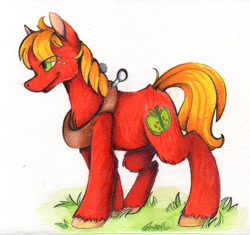 Size: 1827x1714 | Tagged: safe, artist:cutepencilcase, big macintosh, earth pony, pony, commission, male, solo, stallion, traditional art