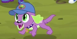 Size: 372x189 | Tagged: safe, screencap, spike, spike the regular dog, dog, equestria girls, legend of everfree, cap, converse, hat, shoes, solo