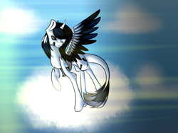 Size: 1024x768 | Tagged: safe, artist:menmadrawing, oc, oc only, alicorn, pony, cloud, solo