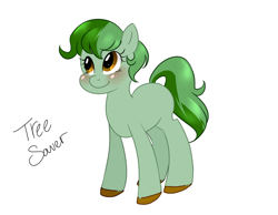 Size: 900x700 | Tagged: safe, derpibooru import, oc, oc only, oc:tree saver, earth pony, pony, solo