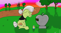 Size: 1920x1040 | Tagged: safe, artist:arcuswind, derpibooru import, granny smith, grave, jar, sad, solo