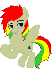 Size: 1024x1401 | Tagged: safe, artist:artkush, oc, oc only, oc:mtnkush, pegasus, pony, drugs, marijuana, meme, solo, starlight says bravo