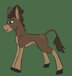 Size: 1518x1594 | Tagged: safe, artist:thedarksideofthefandom, oc, oc only, oc:klonk the donk, donkey, ear fluff, green background, male, open mouth, simple background, smiling, solo