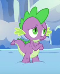 Size: 353x432 | Tagged: safe, derpibooru import, screencap, spike, dragon, the times they are a changeling, solo