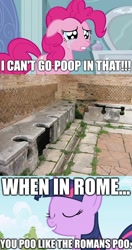 Size: 768x1455 | Tagged: safe, derpibooru import, pinkie pie, twilight sparkle, earth pony, pony, ancient rome, exploitable meme, image macro, meme, poop, pun, roman, roman toilet, rome, toilet