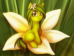 Size: 2048x1540 | Tagged: safe, artist:pingwinowa, oc, oc only, oc:flora, plant pony, flower, grass, monster mare