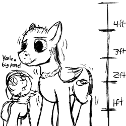 Size: 600x600 | Tagged: safe, artist:thebathwaterhero, derpibooru import, oc, oc only, oc:sunny days, pegasus, pony, series:entrapment, adult, bloodshot eyes, chart, cutie mark, female, filly, height, height difference, male, monochrome, rash, scale, size chart, size comparison, size difference, skin, stallion, text, tunic