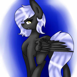 Size: 575x575 | Tagged: safe, artist:sweetmelon556, derpibooru import, oc, oc only, oc:cloudy night, pegasus, pony, blue background, covering, gradient background, simple background, solo, wing covering