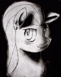 Size: 3390x4262 | Tagged: safe, artist:qwixlochflow, derpibooru import, oc, oc only, oc:willow, bust, charcoal drawing, portrait, solo, traditional art