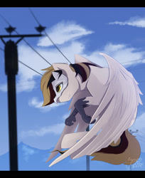 Size: 1296x1588 | Tagged: safe, artist:tangomangoes, derpibooru import, oc, oc only, oc:silent flight, hippogriff, cloud, flying, male, mask, signature, sky, solo, spread wings, telephone lines, telephone pole, wings