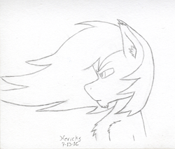 Size: 1178x1005 | Tagged: safe, artist:hericks, derpibooru import, oc, oc only, pony, doodle, male, monochrome, stallion