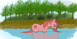 Size: 1920x994 | Tagged: safe, artist:daisyazuras, derpibooru import, oc, oc only, oc:daisy, bathing, pond, solo, wading, water