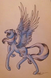 Size: 900x1368 | Tagged: safe, artist:cloud-dash, derpibooru import, oc, oc only, pegasus, pony, bad anatomy, long legs, solo, spread wings, traditional art