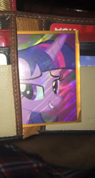 Size: 438x821 | Tagged: safe, twilight sparkle, twilight sparkle (alicorn), alicorn, pony, waifu, wallet