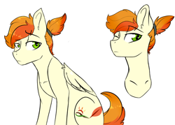 Size: 3700x2652 | Tagged: safe, artist:shiny-cooler, oc, oc only, oc:flame feather, pegasus, pony, female, mare, offspring, parent:soarin', parent:spitfire, parents:soarinfire, solo