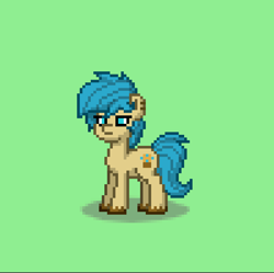 Size: 1196x1191 | Tagged: safe, artist:lyraalluse, derpibooru import, oc, oc only, oc:blueberry muffin, oc:muffin pony, original character do not steal, pony town