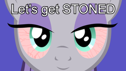 Size: 2560x1440 | Tagged: safe, maud pie, pony, bloodshot eyes, high, image macro, meme, simple background, solo, totally legit recap