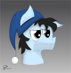 Size: 2213x2263 | Tagged: safe, artist:megabyte1835, derpibooru import, oc, oc only, oc:lazy days, pony, hat, male, simple background, solo, stallion, stubble