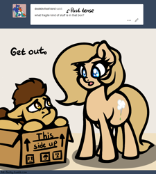 Size: 1280x1420 | Tagged: safe, artist:slavedemorto, oc, oc only, oc:backy, oc:modpone, pony, ask, cardboard box, dialogue, hiding, simple background, tumblr