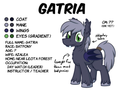 Size: 3000x2213 | Tagged: safe, artist:moemneop, derpibooru import, oc, oc only, oc:gatria, bat pony, pony, reference sheet, solo