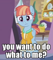 Size: 403x455 | Tagged: safe, edit, edited screencap, screencap, windy whistles, pegasus, pony, parental glideance, female, image macro, iwtcirdm, mare, meme, solo