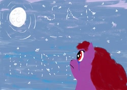 Size: 1123x797 | Tagged: safe, artist:the_shave, derpibooru exclusive, oc, oc only, oc:sad horse, crying, emotional, high detail, moon, night, sad, solo, stars