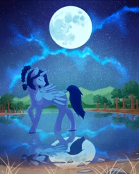 Size: 1000x1250 | Tagged: safe, artist:pridark, oc, oc only, oc:princess salacia, alicorn, pony, alicorn oc, dancing, forest, moon, night, night sky, reflection, solo, stars, water