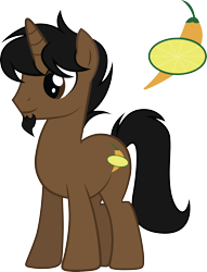 Size: 2286x2997 | Tagged: safe, artist:duskthebatpack, oc, oc only, oc:marrón, pony, unicorn, cutie mark, male, simple background, solo, stallion, transparent background, vector