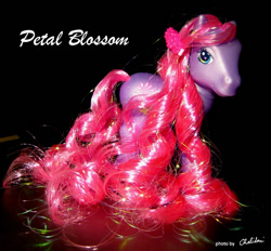 Size: 518x480 | Tagged: safe, artist:chelidoni, g3, irl, petal blossom, photo, solo, toy