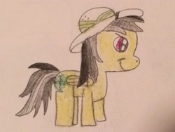 Size: 3264x2448 | Tagged: safe, artist:smurfettyblue, daring do, pony, hat, solo, traditional art