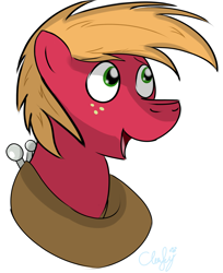 Size: 1953x2397 | Tagged: safe, artist:cloufy, big macintosh, earth pony, pony, male, solo, stallion