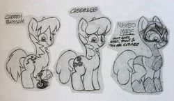 Size: 3264x1893 | Tagged: safe, artist:jay fosgitt, idw, cheerilee, cherry blossom (idw), earth pony, pony, spoiler:comic29, art is magic, female, flower, mask, mystery mare, siblings, sisters, twins