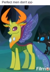 Size: 720x1047 | Tagged: safe, edit, edited screencap, screencap, thorax, changedling, changeling, to where and back again, caption, cropped, exploitable meme, king thorax, meme, perfection