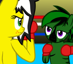 Size: 1599x1398 | Tagged: safe, artist:toyminator900, oc, oc only, oc:slugzebra, oc:uppercute, earth pony, pony, boxing, boxing gloves, duo