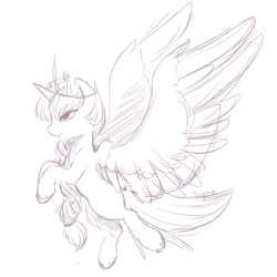 Size: 1280x1280 | Tagged: safe, artist:ponycide, oc, oc only, alicorn, pony, alicorn oc, flying, sketch, solo