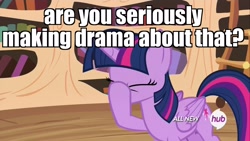 Size: 1920x1080 | Tagged: safe, edit, edited screencap, screencap, twilight sparkle, twilight sparkle (alicorn), alicorn, pony, testing testing 1-2-3, all new, facehoof, hub logo, image macro, meme, reaction image, solo, text