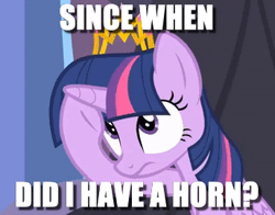 Size: 344x270 | Tagged: safe, edit, edited screencap, screencap, twilight sparkle, twilight sparkle (alicorn), alicorn, pony, equestria games (episode), amnesia, confused, female, frown, horn, image macro, looking up, mare, meme, memory loss, poking, question, rubbing, sitting, solo, throne, underhoof, wide eyes